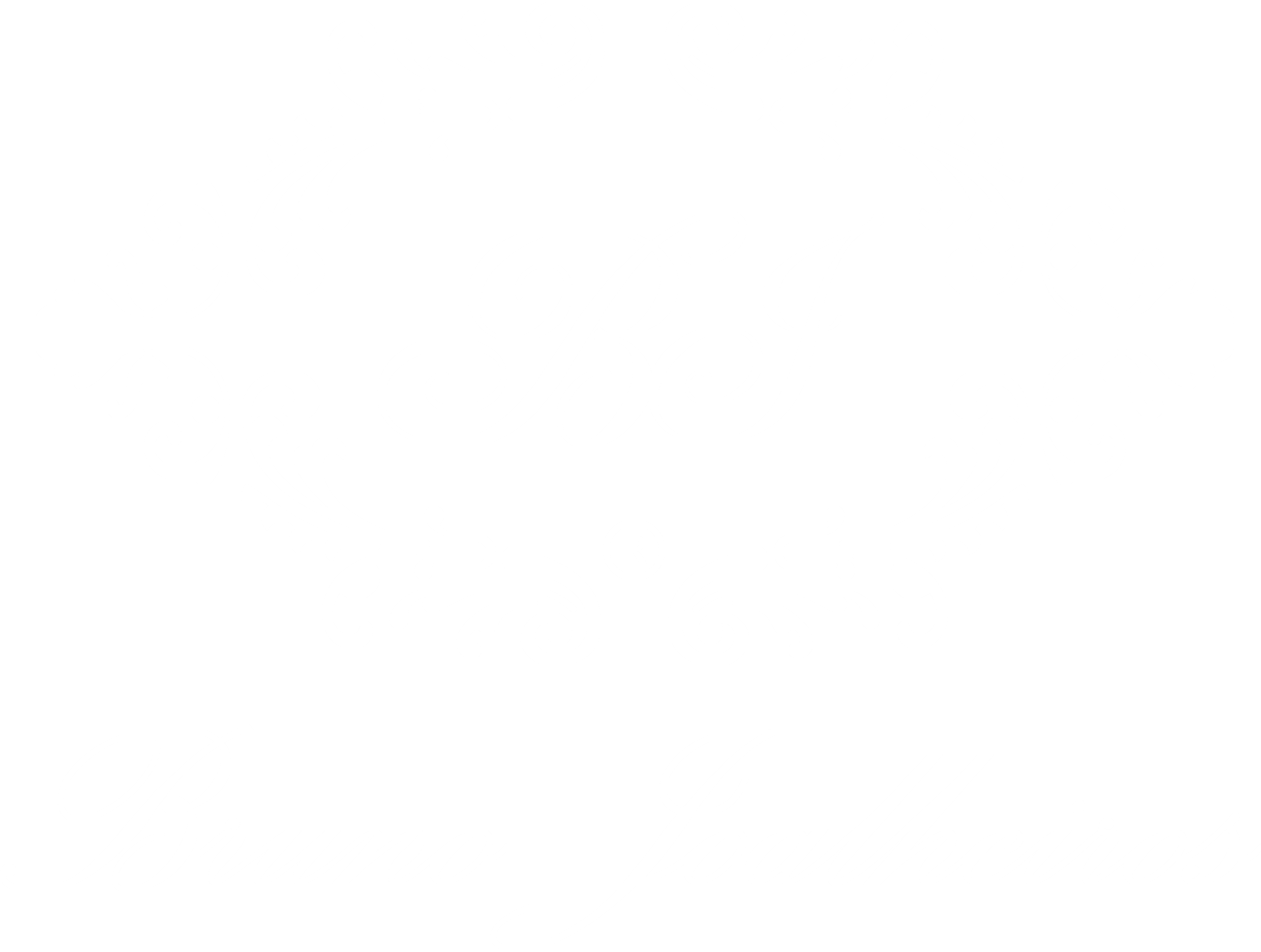 bruno joalheiros white logotype